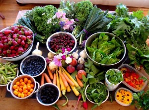 foodgracehearth